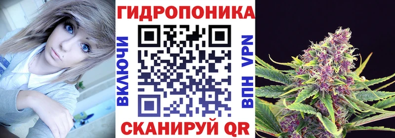 продажа наркотиков  Хасавюрт  Канабис индика 